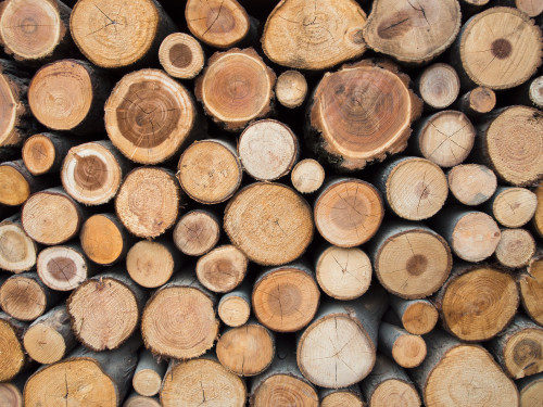 A variety of logs stacked together in a pile, showcasing different sizes and textures