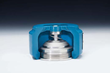 DFT WLC Check valve