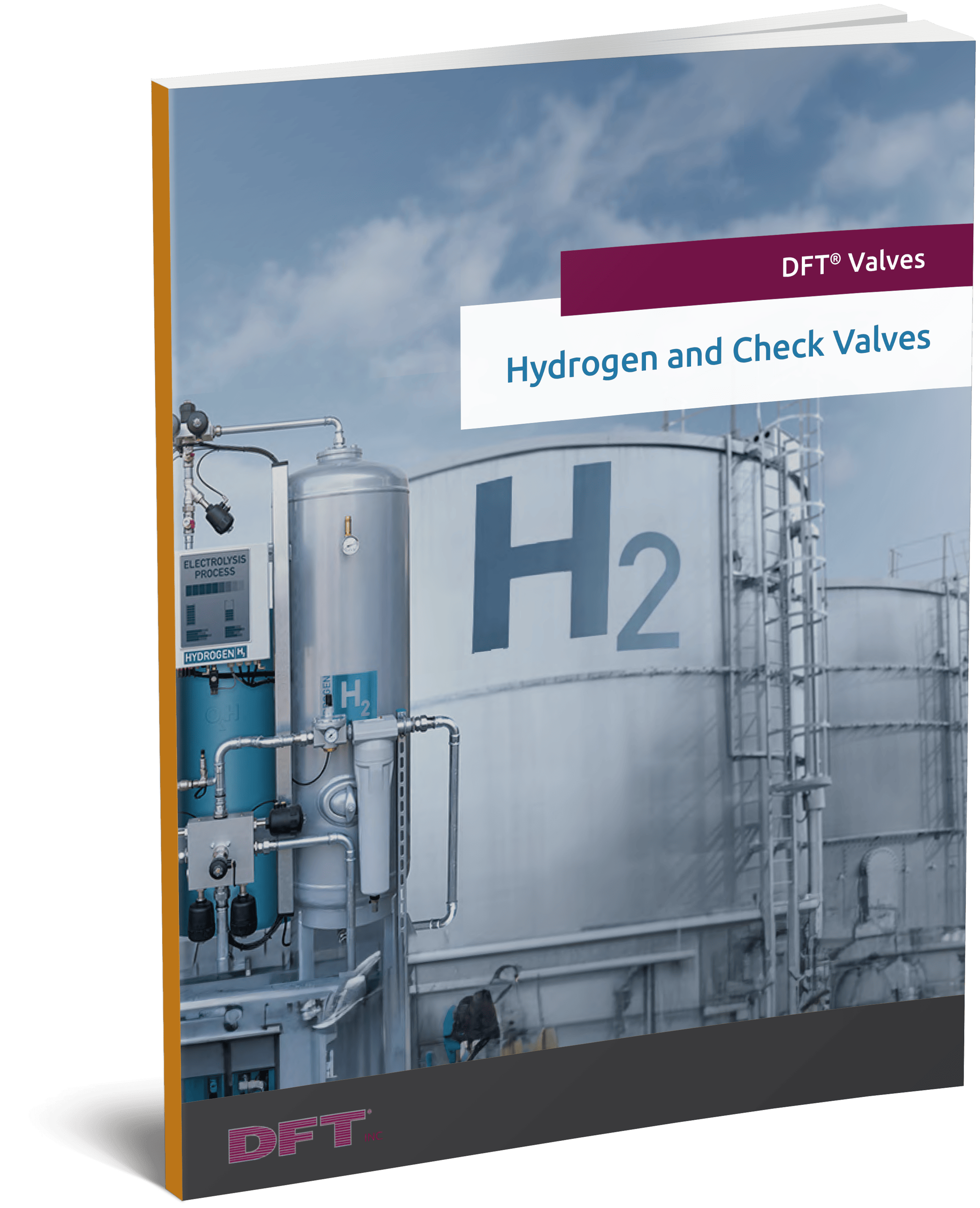 Hydrogen and Check Valves