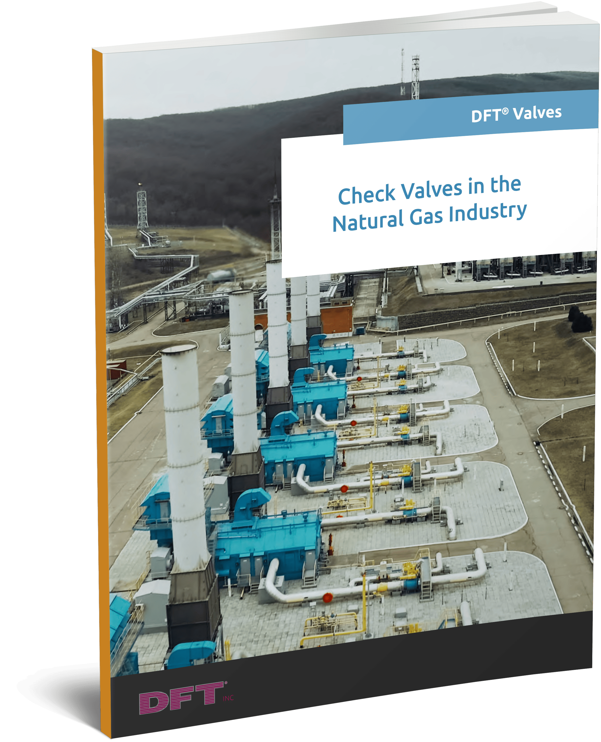 Check Valves in the Natural Gas Industry